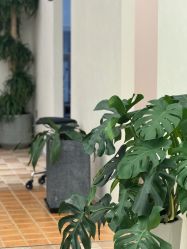 -G-SAGA形象设计
