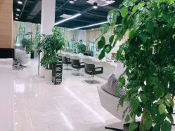 -CARR SALON