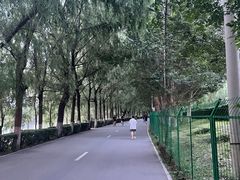 -长白岛森林公园