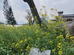 -宝晶宫旅游景区