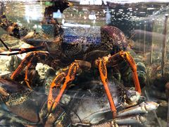 -盒马鲜生(曜一城店)