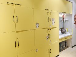 -洗脸猫·洗脸吧