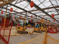 -南宫五洲植物乐园