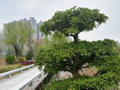 -渭滨公园