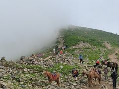 -灵山