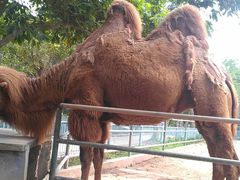 -广东茂名森林公园