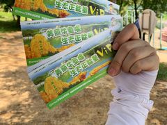 -牛鱼嘴原始生态风景区