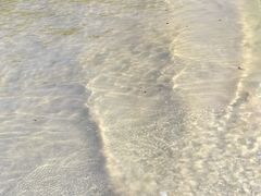 -西涌国际滨海旅游区