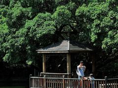 -东莞市可园博物馆