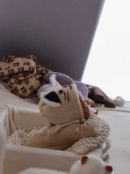 -爱丽馨御景月子中心