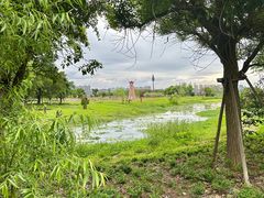 -三垟湿地