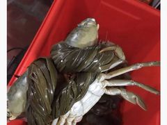 -老财炒饭·熟地蟹·冬瓜蟹