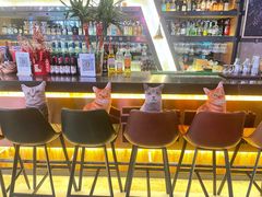 -Famous肥猫墨西哥音乐餐吧(五棵松华熙LIVE店)