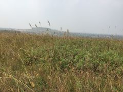 -恋山坝上草原