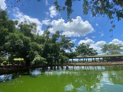 -侯臣咖啡文化村