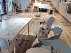 -听TA说宠咖·宠物生活馆(天韵水岸店)
