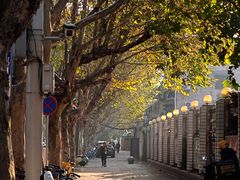 -皇冠幸福里动物奶油生日蛋糕(中山大道二中店)