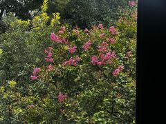 -成都院坝精品私汤民宿酒店