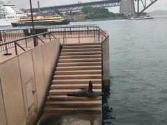 -悉尼歌剧院