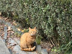 -南通博物苑-崇川人民公园