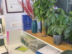 -章光101防脱养发荟