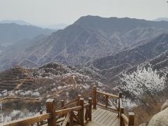 -大岭沟猕猴桃谷风景区