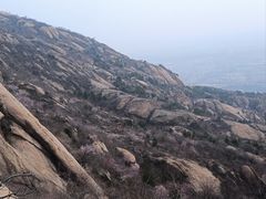 -北京凤凰岭
