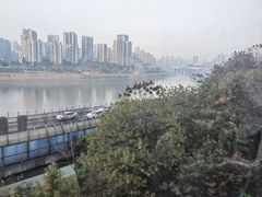 -李子坝梁山鸡(李子坝大鸡哥店)