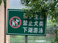 -紫霞湖公园