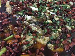 -东吴霸王兔(松青路店)