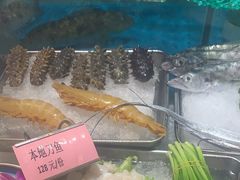 -中苑海韵