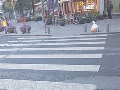 -Peet's Coffee皮爷咖啡(大学路店)