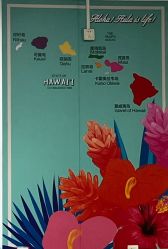 -呼拉汇舞蹈生活馆 Hawaii Hula&Tahiti Dance Studio