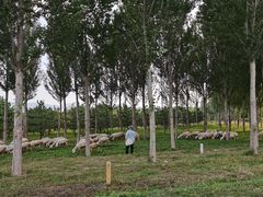 -怀来官厅水库