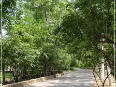 -大兴滨河森林公园