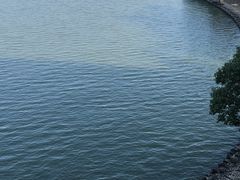 -上海滴水湖皇冠假日酒店