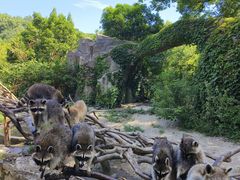 -宁波野生动物园