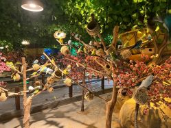 -酷嗒动物文化乐园(cutezoo西溪乐天城店)