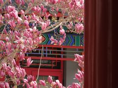 -天津大悲禅院