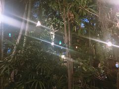 -月满港海鲜酒家