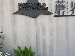 -蘑界·野生菌火锅(深业上城店)