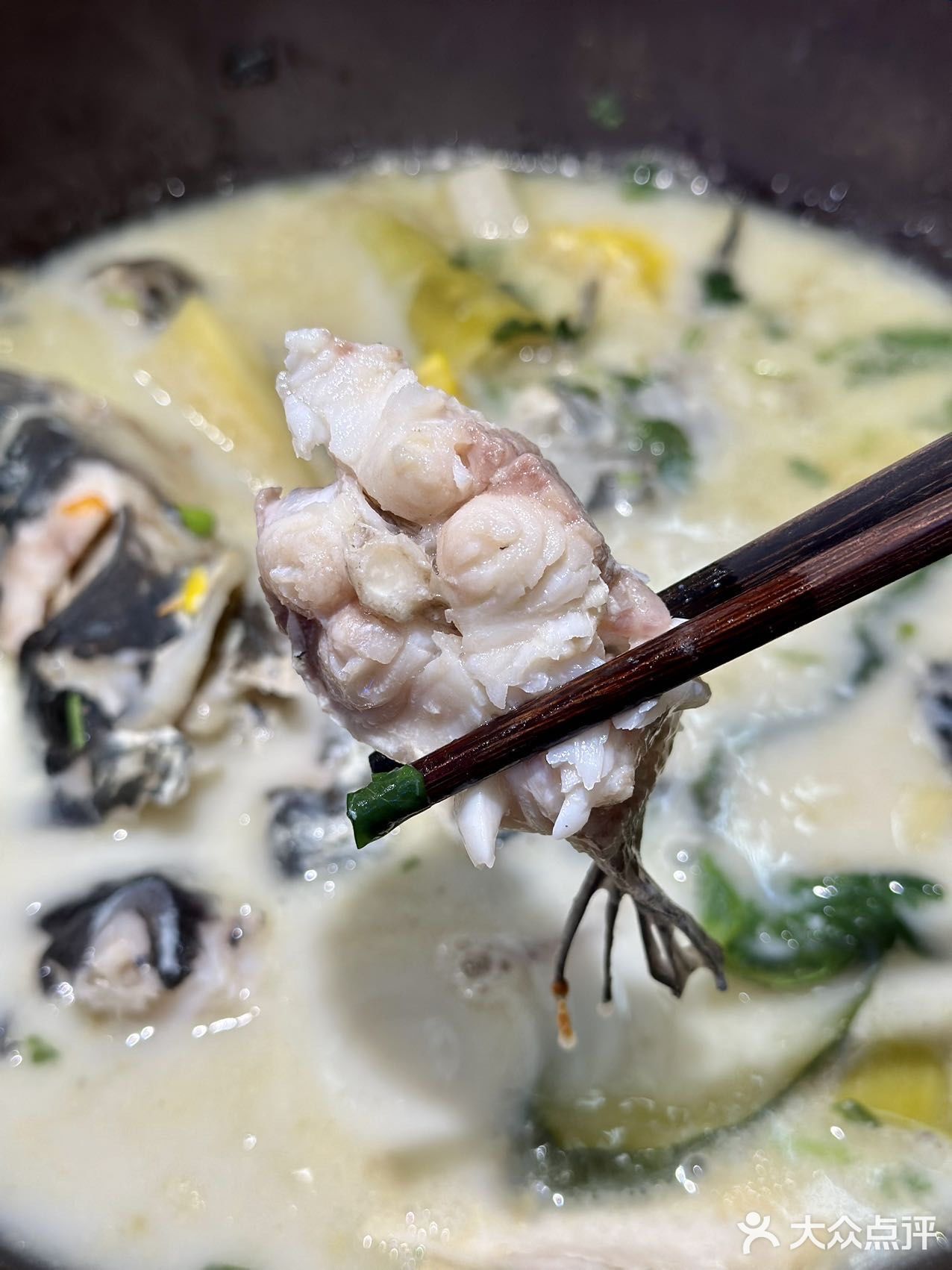 🐟 念念不忘这一碗鱼汤！