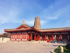 -法门文化景区