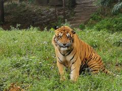 -大连森林动物园