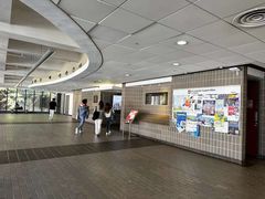 -香港大学