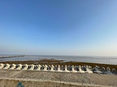 -南汇嘴观海公园