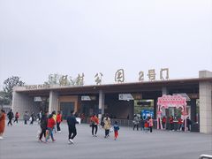 -自然谷恐龙园