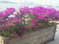 -万泉河漂流