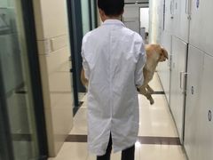 -申普宠物医院·眼科·心内科·影像科(普陀分院)