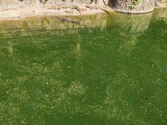 -深圳野生动物园